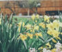 Shari’s Picks for May!